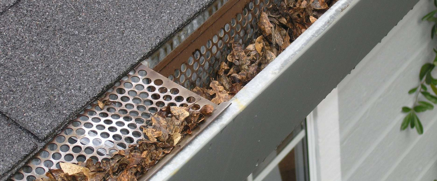 Don't Get Bogged Down by Clogged Gutters